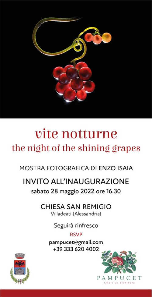 VITE NOTTURNE  -  THE NIGHT OF THE SHINING GRAPES - MOSTRA FOTOGRAFICA - ENZO ISAIA - INAUGURAZIONE Sabato 28/05/2022